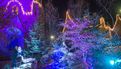 Pour la 3e année consécutive Locronan revêt ses habits de lumière pour un Noël magique (6)