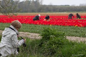 Dans le champ de vision