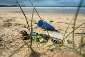 « Plastik panic dans l'océan »