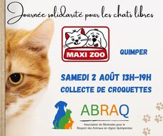 Collecte de croquettes