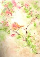 oiseau de décembre à l'aquarelle