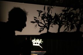 Théâtre d'ombre - jouer avec les images lumineuses