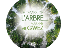 Ateliers découverte de la réalité virtuelle