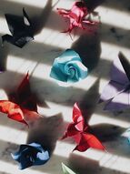 Les JO des animaux : quizz et atelier origami