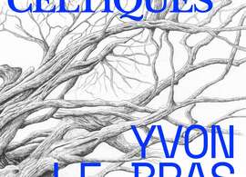 Exposition d'Yvon Le Bras