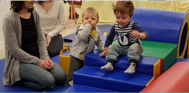 Crocos Graines de familles