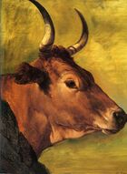 Voodg, Tête de vache