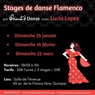 Initiation à la danse flamenco