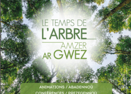 Exposition « Arborescence » de Béatrice Giffo dans le cadre du Temps de l’arbre