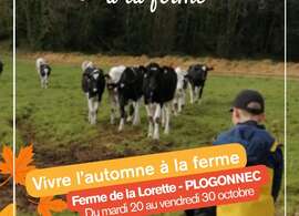 Vivre l'automne à la ferme