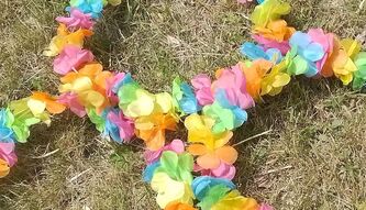 Un jardin arc en ciel!