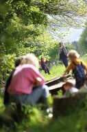 Atelier enfant-parent : cycle sortie nature à la « Forest School »