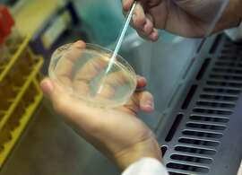 Le village de la microbiologie - Ateliers et expériences