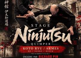 Stage Ninjutsu Quimper