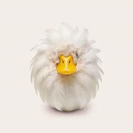Canard or not canard