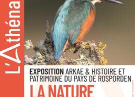 La Nature au fil du Jet