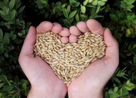 Rendez-vous échange de graines