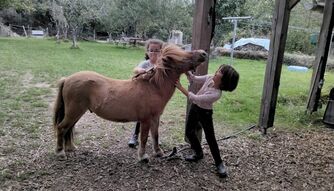 Balade à cheval en breton pour les enfants