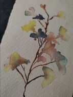 Stage d'initiation à l'aquarelle pour débutants