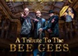 Night Fever - A tribute to The Bee Gees