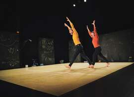 Pourquoi un arbre est une poule ?