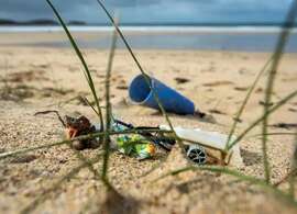 « Plastik panic dans l'océan »