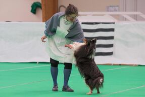 Dogdance