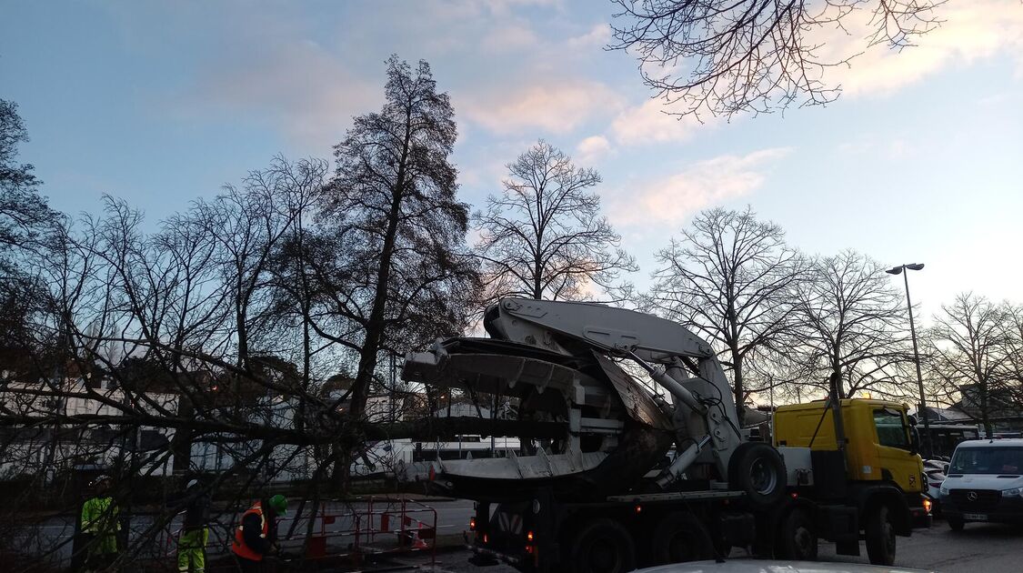 Gare-Parc : transplantation d’arbres au Corniguel