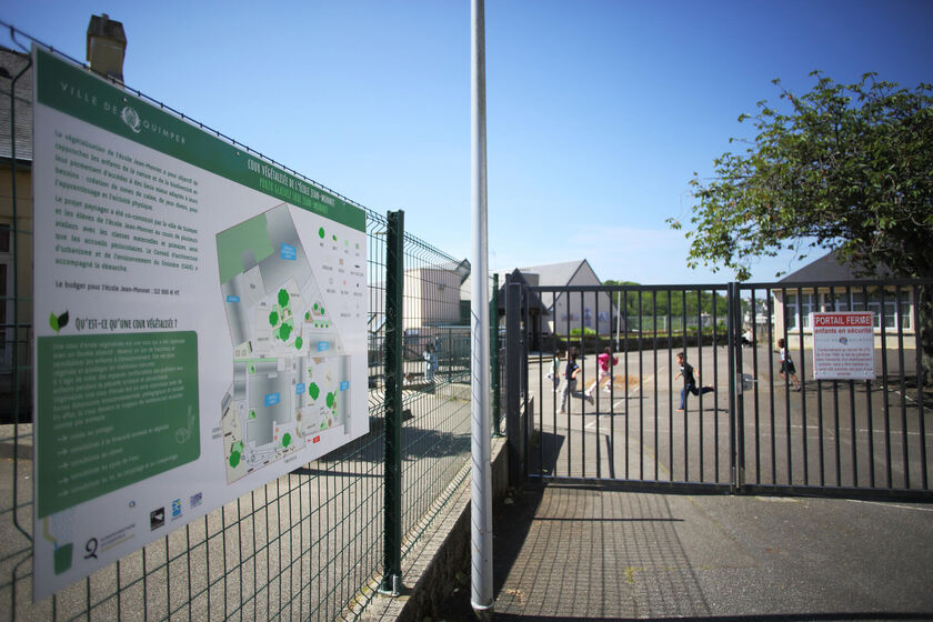 Végétalisation des cours d'écoles et filière bois d'œuvre locale 