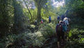 Sur les chemins de l'été - Saint-Albin - Plogonnec (6)