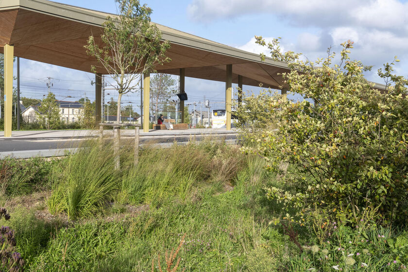 Gare-Parc : de nouvelles plantations de végétaux à partir de la mi-novembre