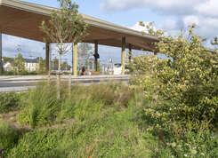 Gare-Parc : de nouvelles plantations de végétaux à partir de la mi-novembre