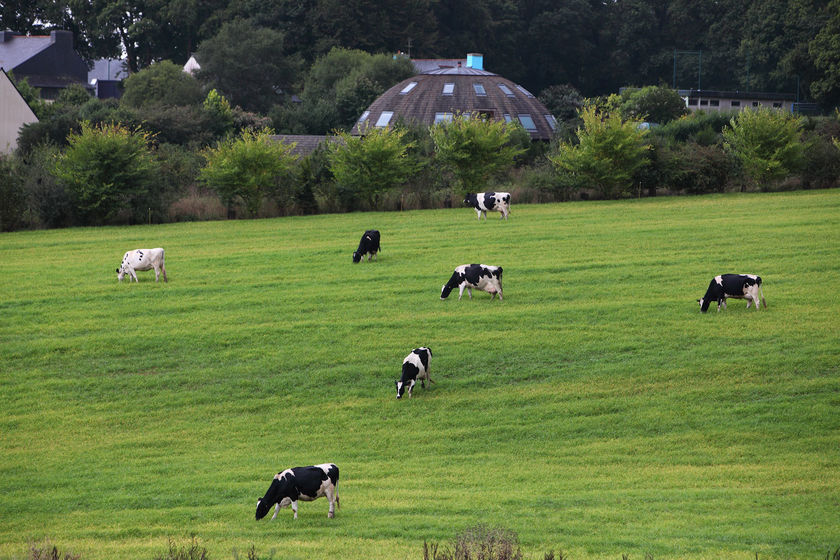 L’agriculture