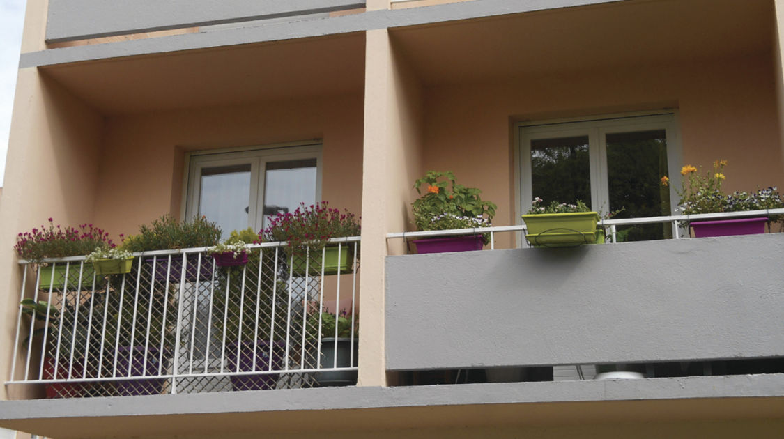 Balcons, terrasses, fenêtres, petits jardins (de moins de 100 m²) très visibles de la rue - 1er prix Françoise Becam
