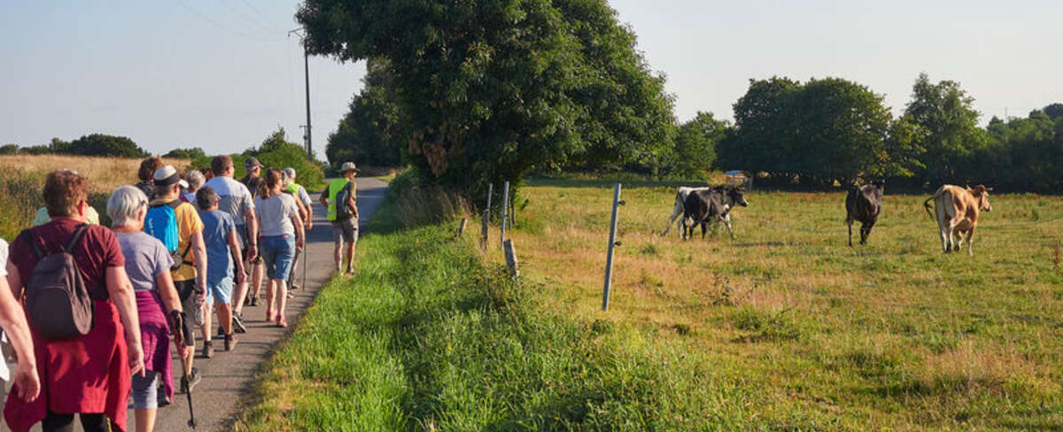 Sur les chemins de l’été, sentiers de randonnée : de juin à août 2026