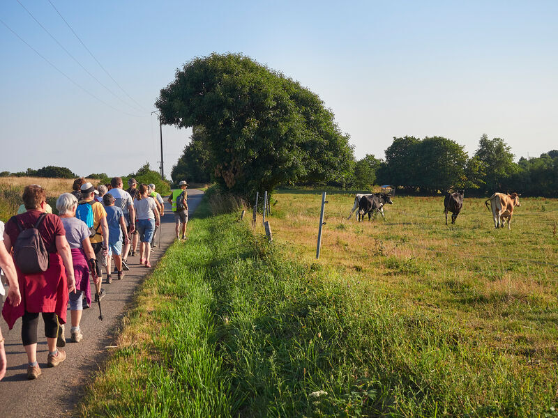 Sur les chemins de l’été, sentiers de randonnée : de juin à août 2026