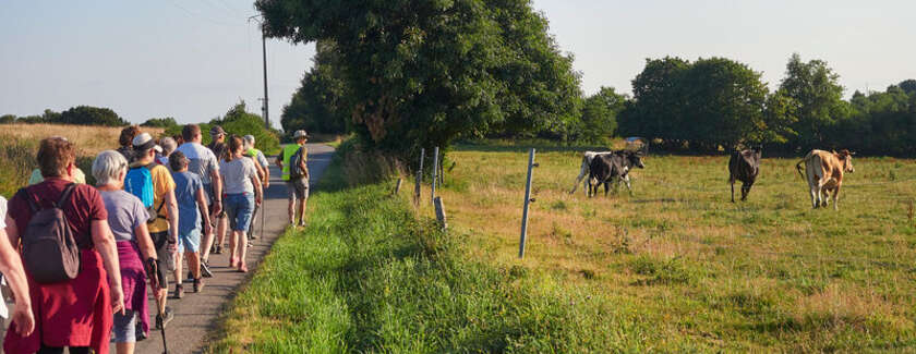 Sur les chemins de l’été, sentiers de randonnée : de juin à août 2026