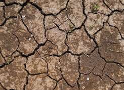 Le Bassin versant de l’Odet placé en crise sécheresse