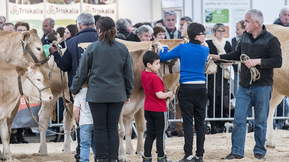 Le festival Agri deiz au parc des expositions à Quimper les 23 et 24 m (4)