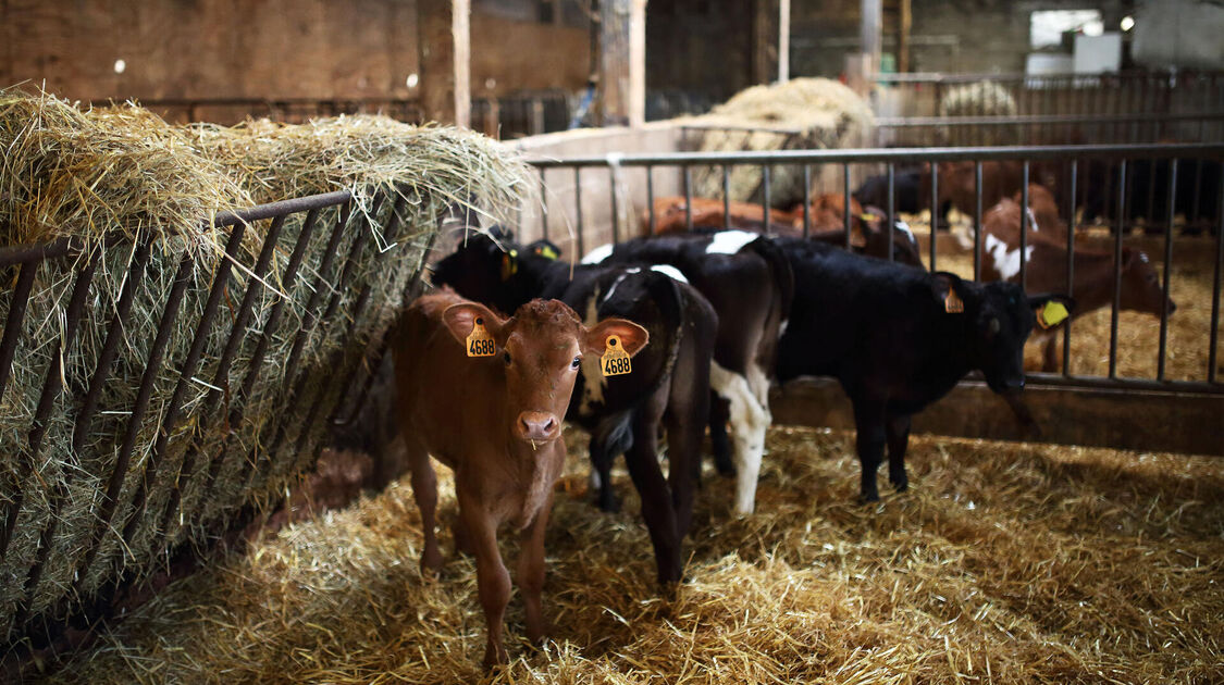 Les 48h de l'agriculture urbaine 2026