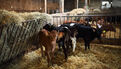 Les 48h de l'agriculture urbaine 2026