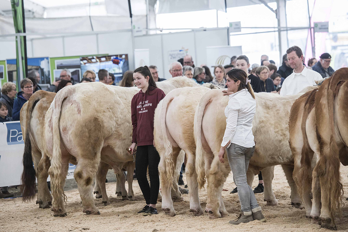 Agri deiz : la plus grande ferme du Finistère