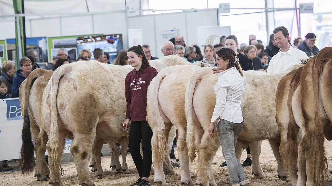 Le festival Agri deiz au parc des expositions à Quimper les 23 et 24 m (6)