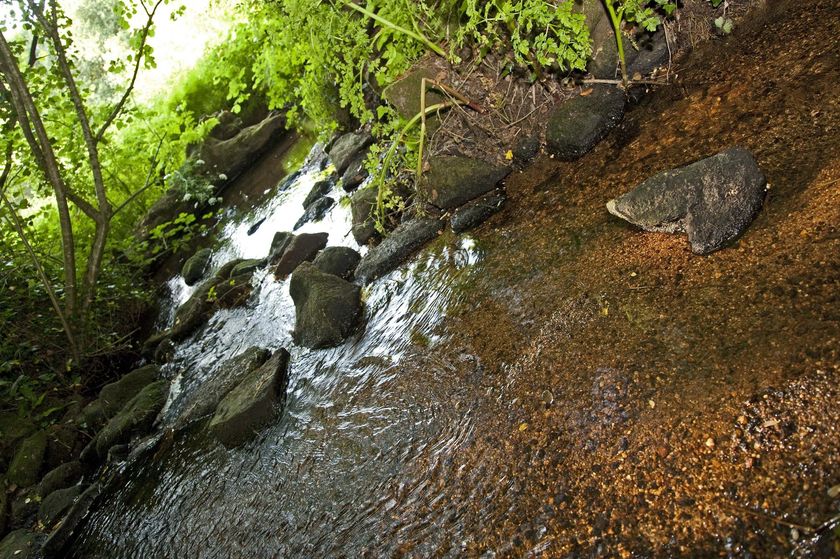 Une opération de restauration du ruisseau de Kervoelig menée par le Sivalodet à Pluguffan 