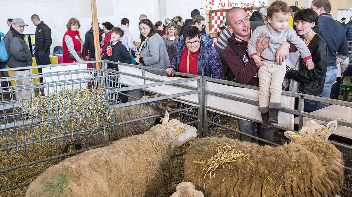 Le festival Agri deiz au parc des expositions à Quimper les 23 et 24 m (7)