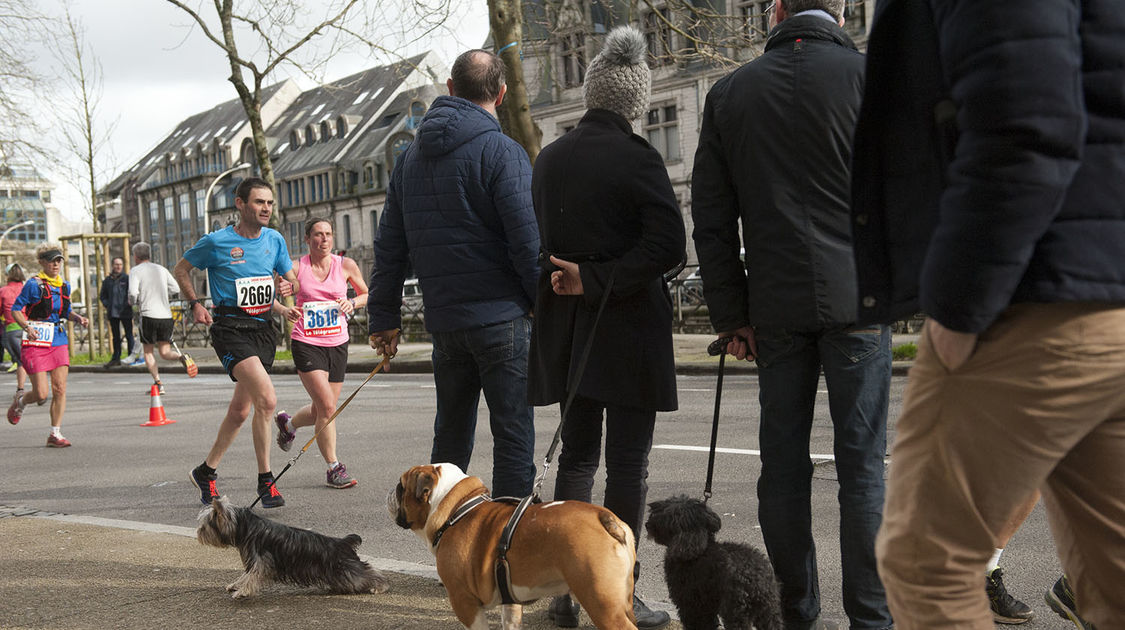 2e semi-marathon et 10 km Locronan-Plogonnec-Quimper - 12 mars 2017 (30)