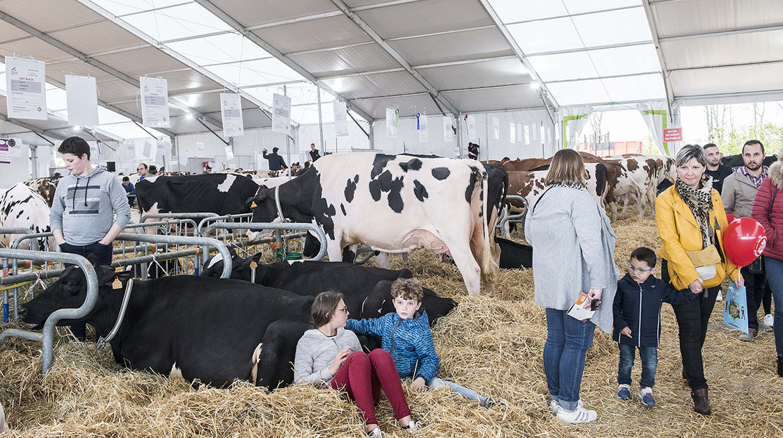 Le festival Agri deiz au parc des expositions à Quimper les 23 et 24 m (2)