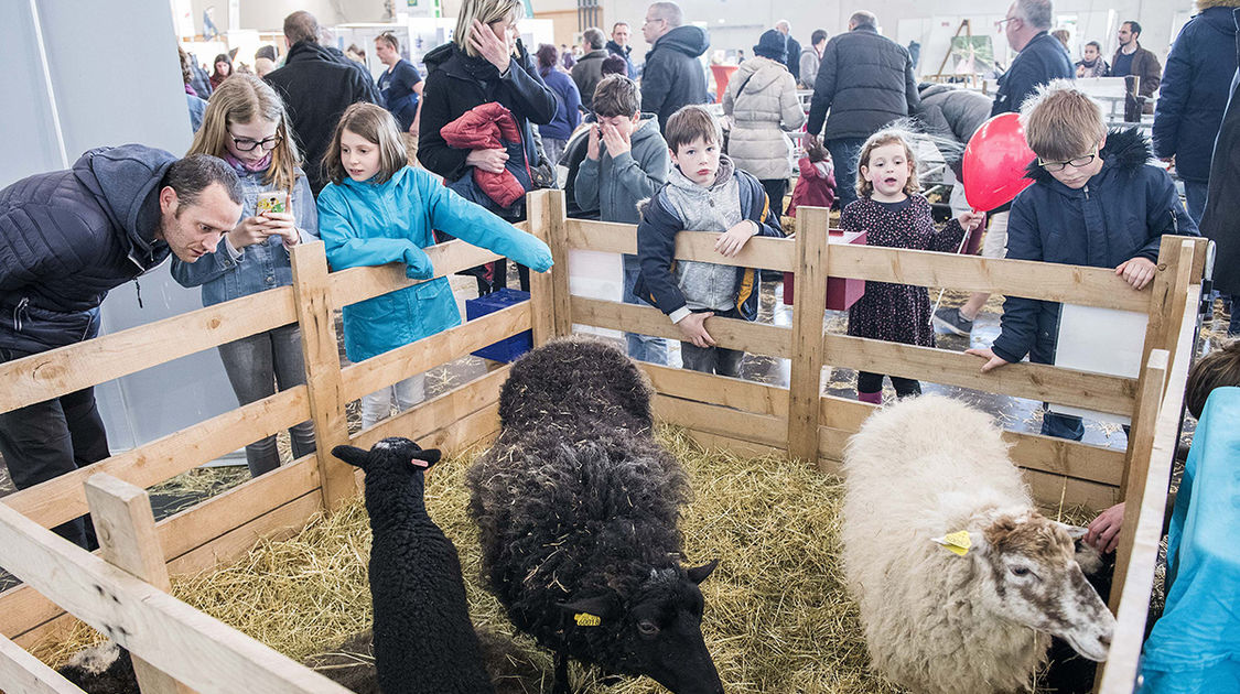 Le festival Agri deiz au parc des expositions à Quimper les 23 et 24 m (1)