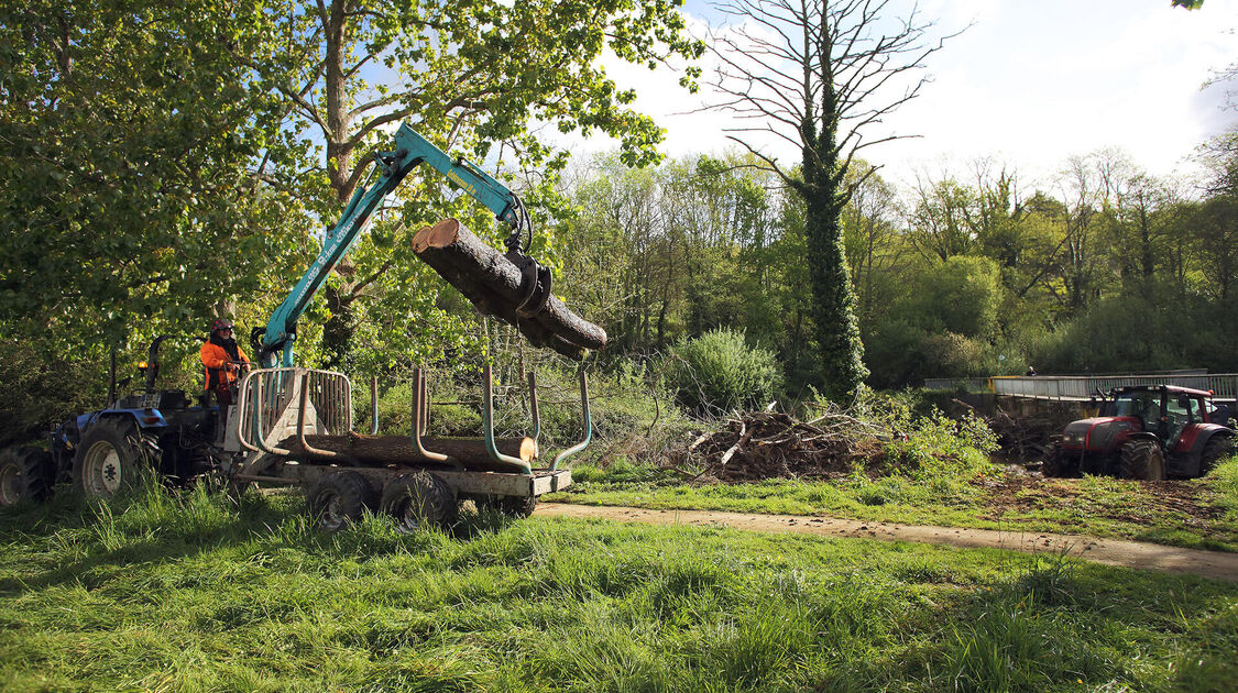 Enlèvement des embâcles au Moulin Vert