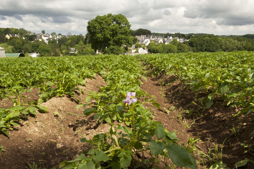 Une journée d’échanges avec les agriculteurs du territoire à Breizh Transition